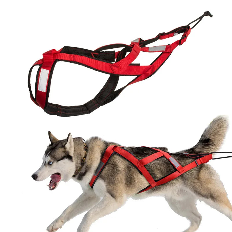 Harnais de traîne pour chien avec design X-Back et ajustement sécurisé pour grands chiens Huskies