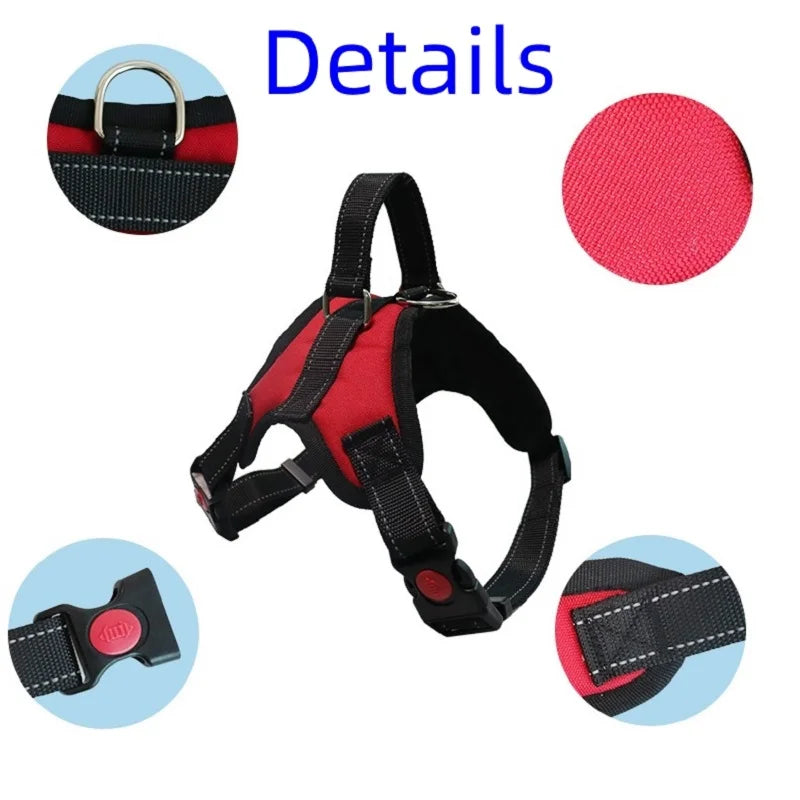 harnais pour chien de grande taille en nylon