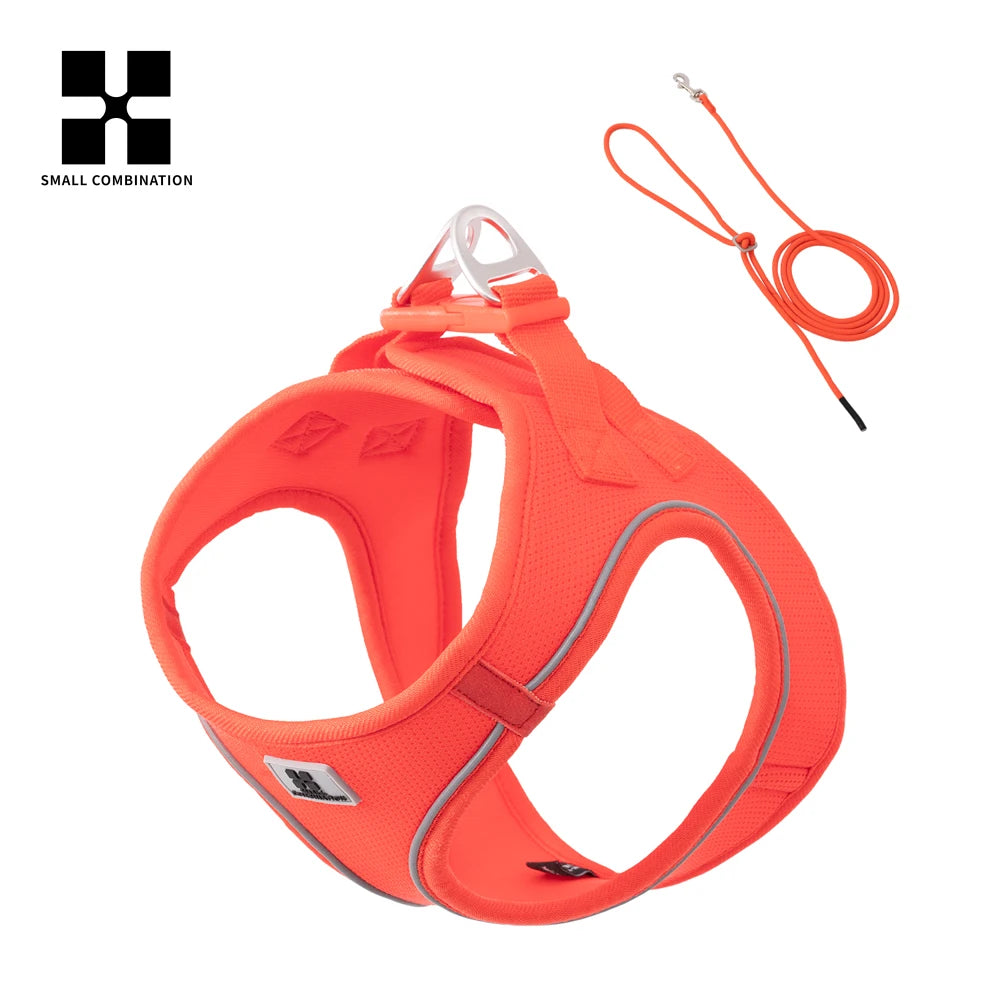 laisse résistante pour chiens énergiques