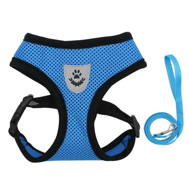 set harnais et laisse pour petits chiens