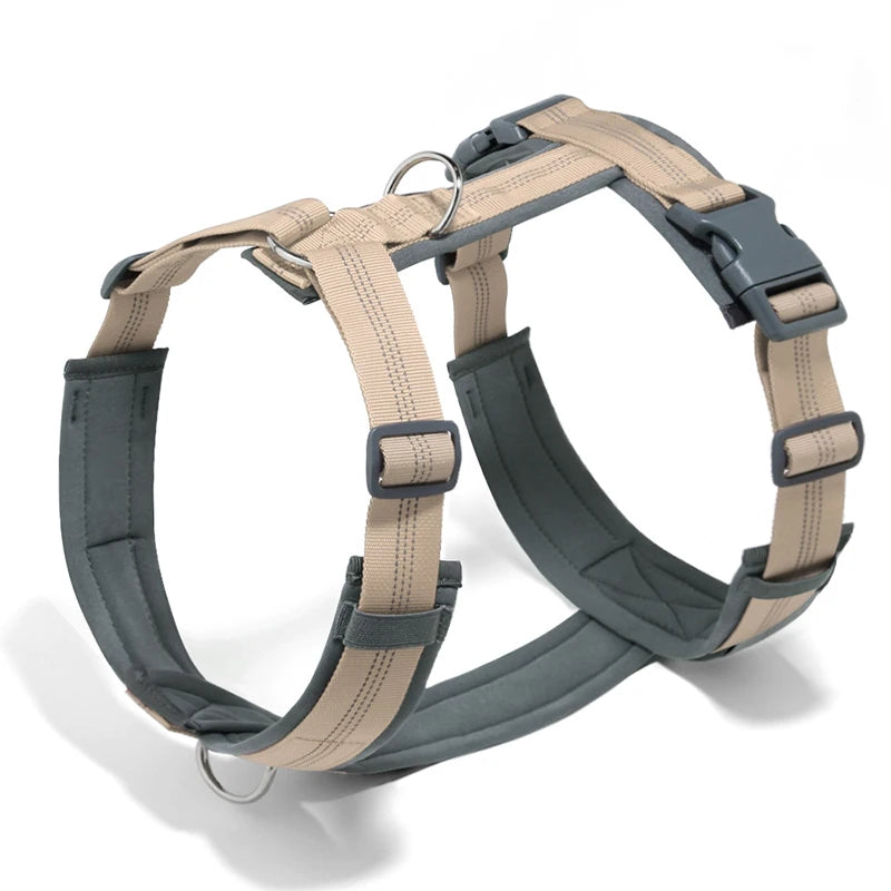 harnais en nylon durable et élégant pour chien