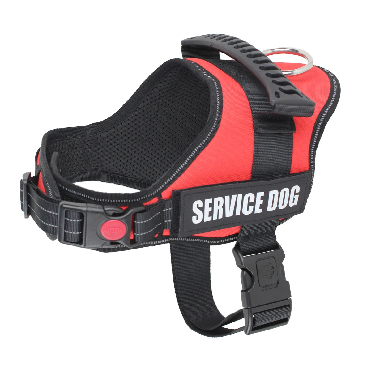 harnais élégant pour chien avec patches