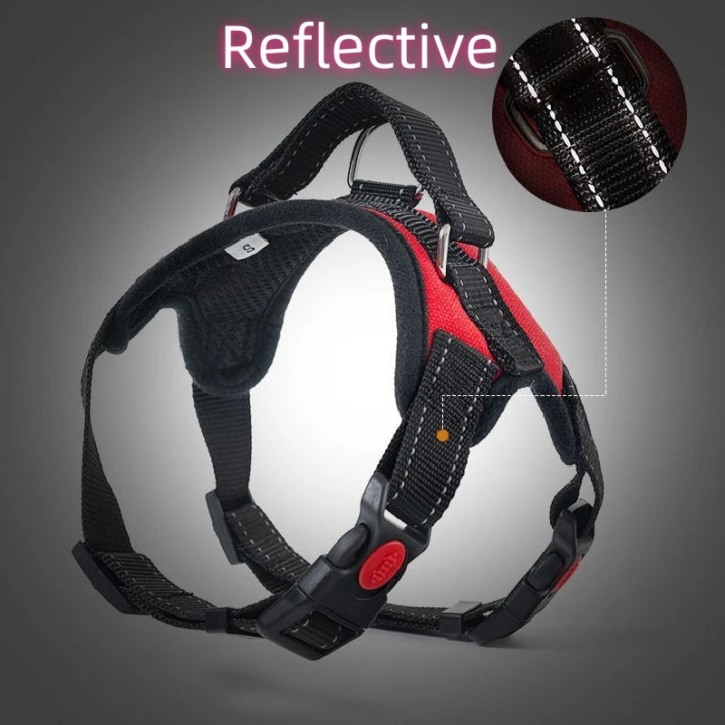 harnais pour Chihuahua ajustable et durable