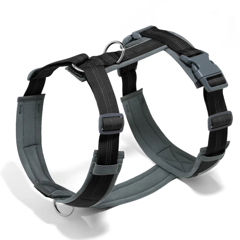 harnais ergonomique chien avec design H