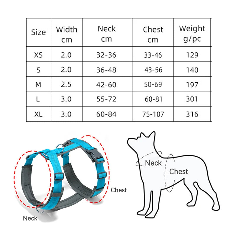 harnais nylon résistant pour chien de nuit