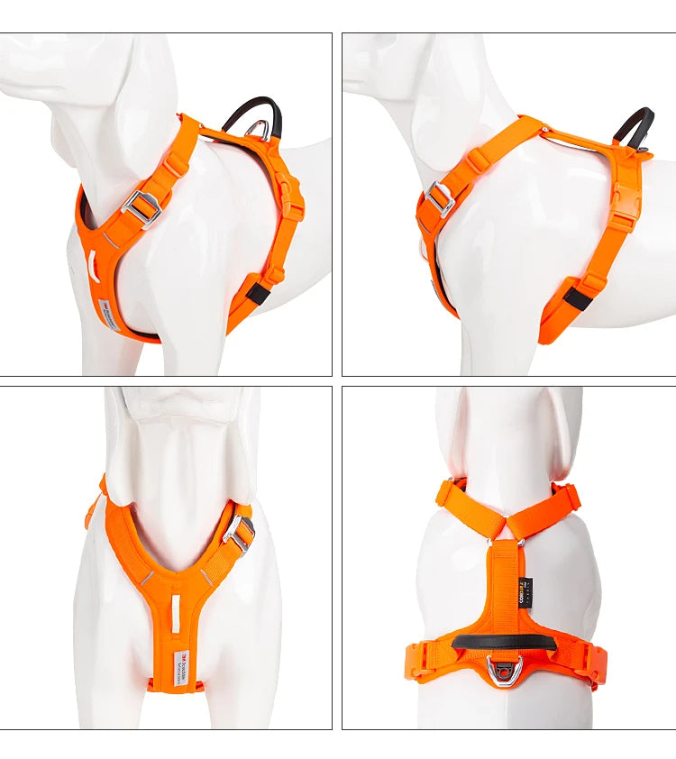 harnais pour chien de petite taille avec option de traction