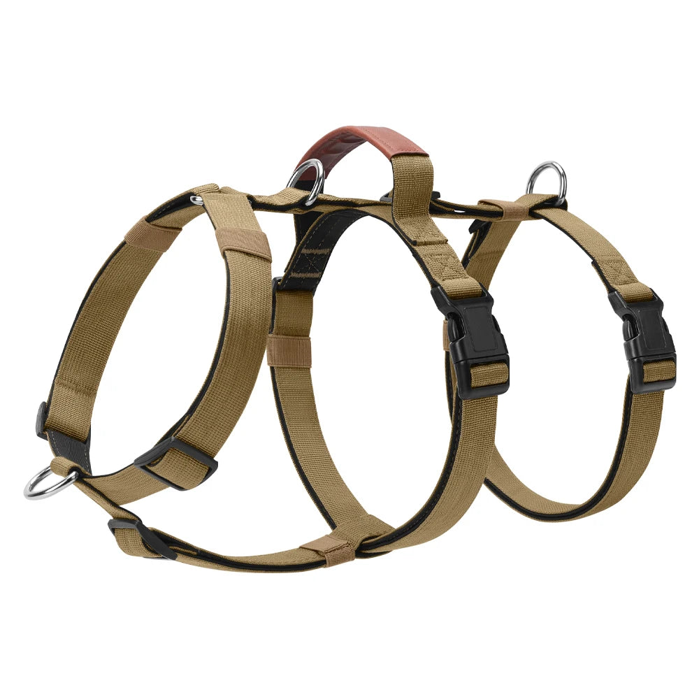 conception respirante de harnais pour chiens