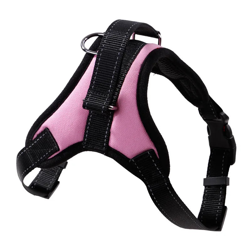 harnais confort pour chien de petite taille