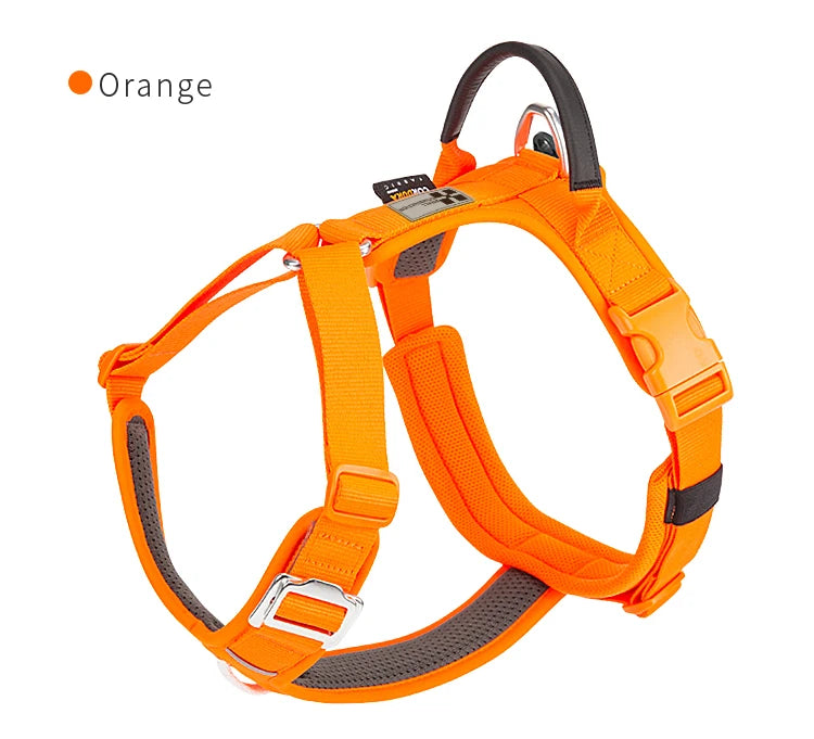 harnais pour chien avec design réfléchissant efficace