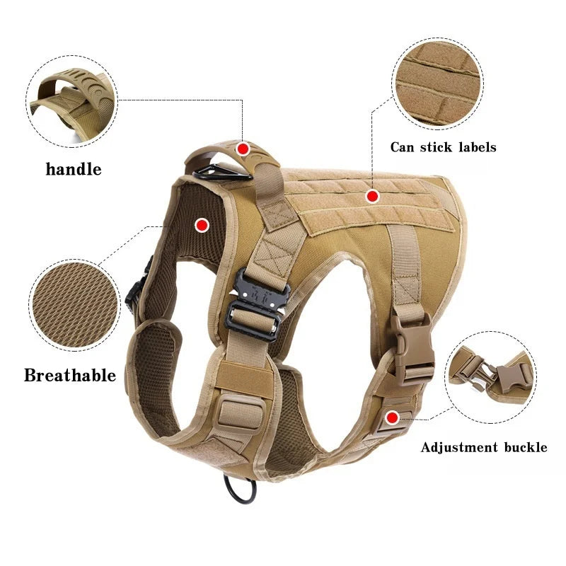 vêtement tactique pour chien