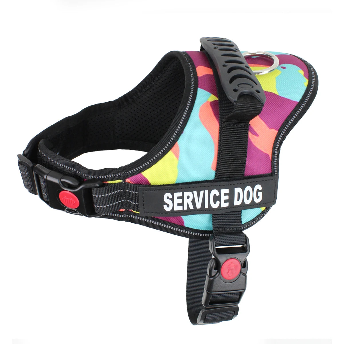 harnais pour animal avec divers accessoires