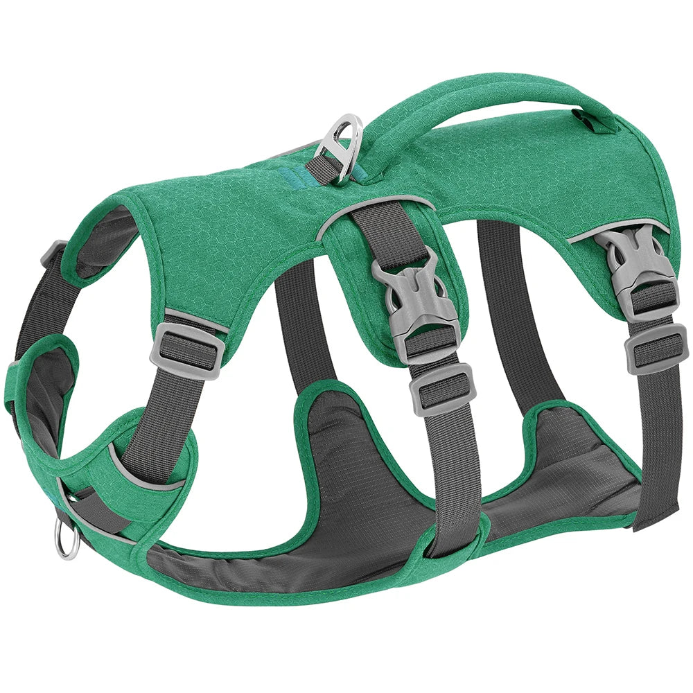 harnais pour grands chiens nylon durable