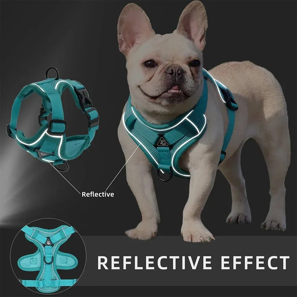 harnais reflet sécurisé pour chien