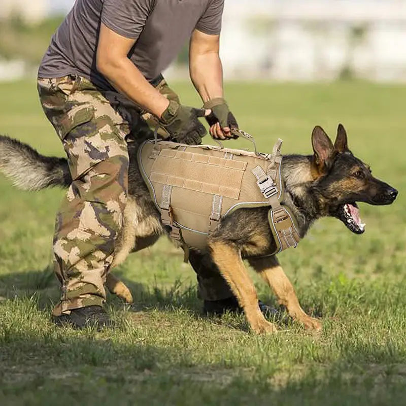 Harnais Militaire Chien Tactique Berger Allemand