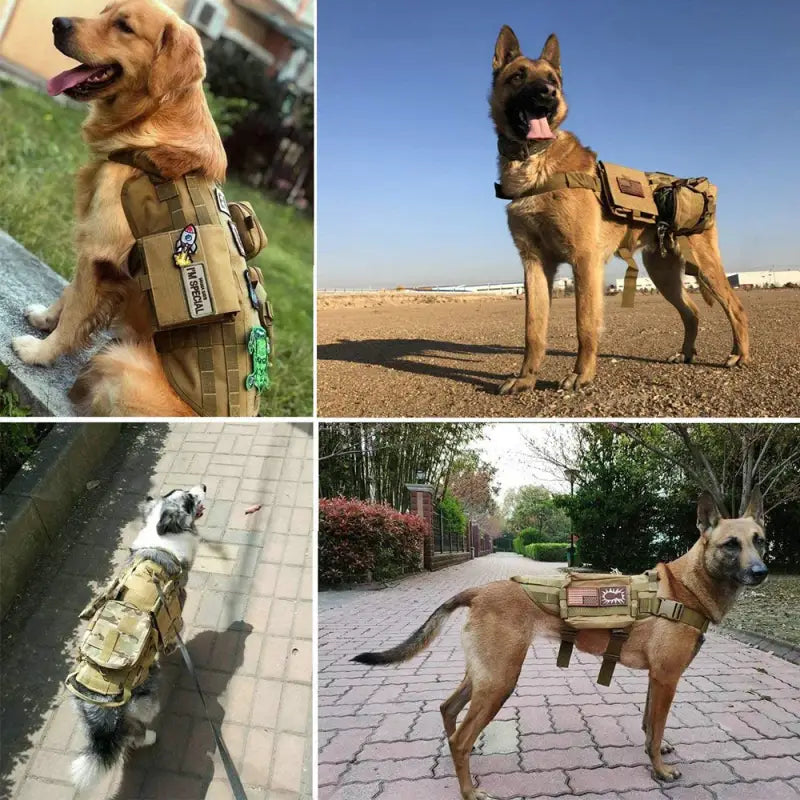 Harnais Tactique Militaire Chien Avec Sac